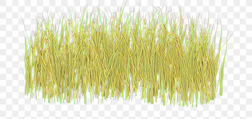 Grass Background, PNG, 1920x908px, Wheatgrass, Aquarium Decor, Grain, Grass, Grass Family Download Free