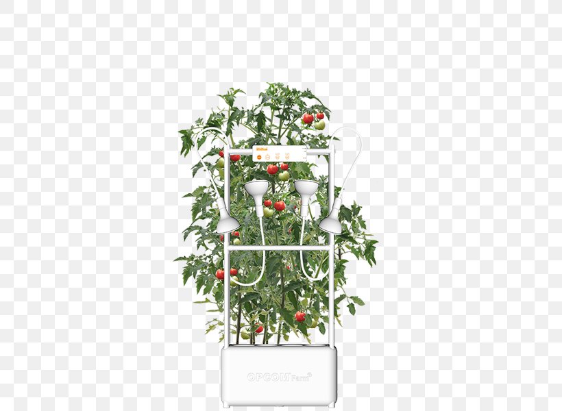 Hydroponics Farm Grow Box Flowerpot Nutrient Film Technique, PNG, 600x600px, Hydroponics, Amazoncom, Cannabis, Celebrity, Farm Download Free