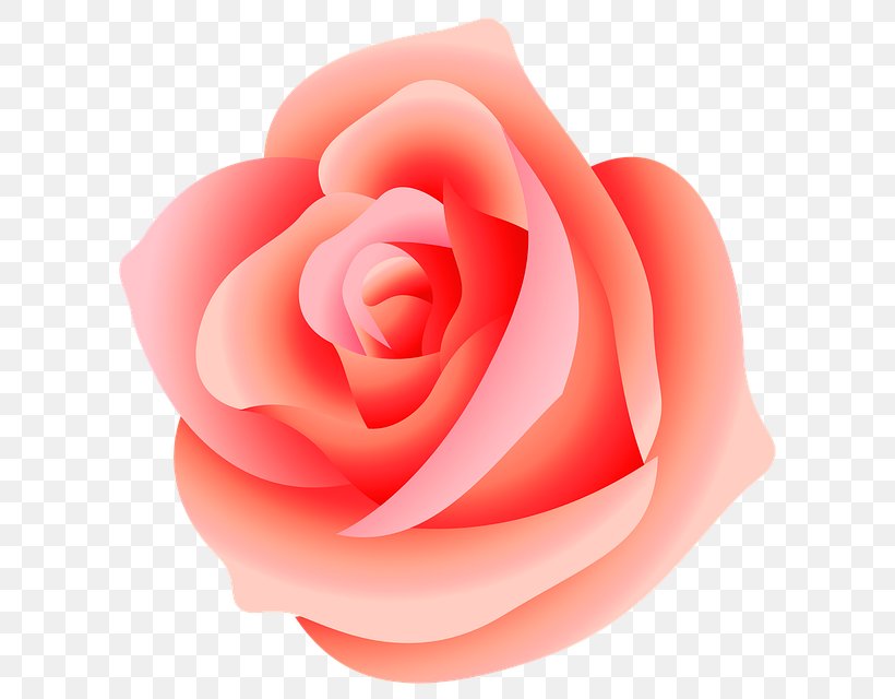 Rose Clip Art, PNG, 634x640px, Rose, Close Up, Cut Flowers, Flower, Flowering Plant Download Free