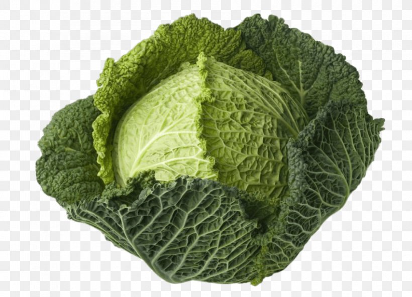 Savoy Cabbage Leaf Vegetable Broccoli, PNG, 850x614px, Cabbage, Broccoli, Brussels Sprout, Cauliflower, Collard Greens Download Free
