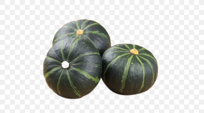 Tea Winter Squash Watermelon Pumpkin, PNG, 570x454px, Tea, Citrullus, Cucumber Gourd And Melon Family, Cucumis, Cucurbita Download Free
