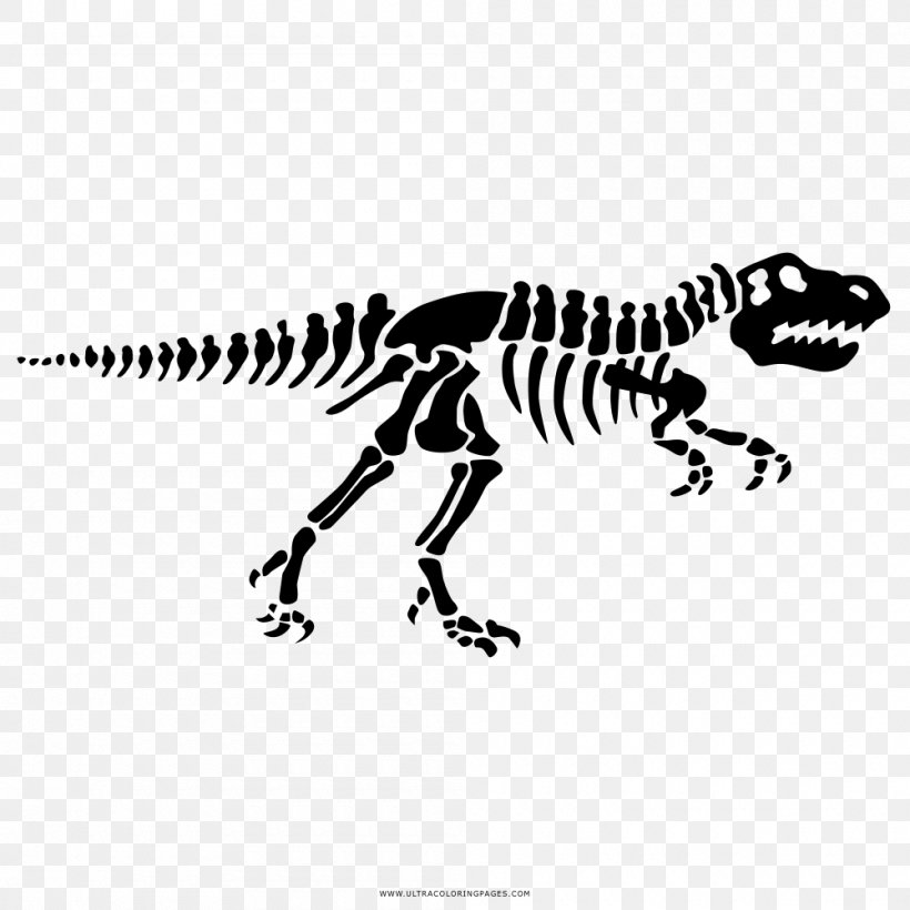 Dinosaur Footprints Reservation Tyrannosaurus Stegosaurus, PNG, 1000x1000px, Dinosaur Footprints Reservation, Animal Track, Black And White, Bone, Color Download Free