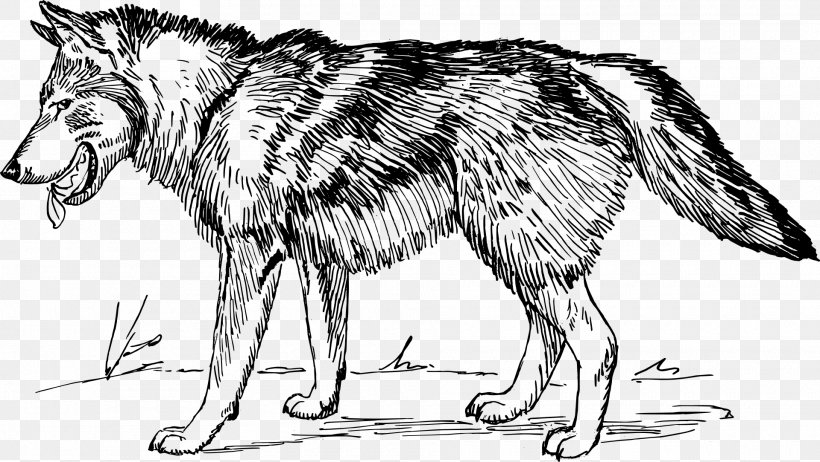Gray Wolf Coloring Book African Wild Dog Pack Wolf Hunting, PNG, 1920x1084px, Gray Wolf, Adult, African Wild Dog, Artwork, Big Bad Wolf Download Free