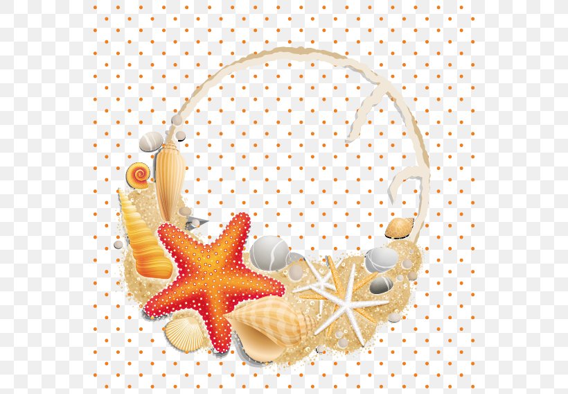 Seashell Clip Art, PNG, 568x568px, Seashell, Beach, Invertebrate, Peach, Sand Download Free