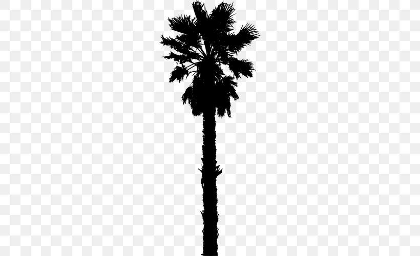 Arecaceae Date Palm Silhouette Clip Art, PNG, 500x500px, Arecaceae, Areca Palm, Arecales, Black And White, Borassus Flabellifer Download Free