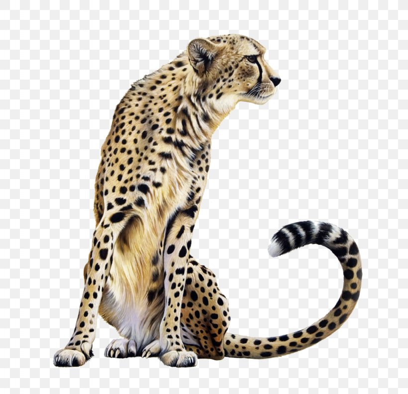 Cheetah Leopard Lion Clip Art, PNG, 1024x990px, Cheetah, Big Cat, Big Cats, Carnivoran, Cat Like Mammal Download Free