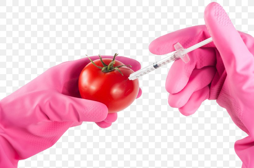 Genetically Modified Food Genetically Modified Tomato Genetically Modified Organism Genetic Engineering Genetics, PNG, 1280x850px, Genetically Modified Food, Arctic Apples, Crop, Eating, Finger Download Free