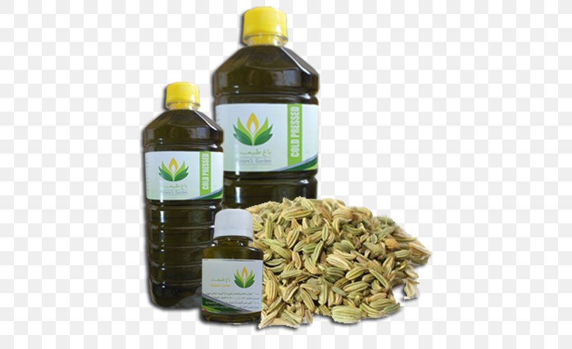 Soybean Oil Fennel Flower Herb, PNG, 500x500px, Soybean Oil, Caraway, Cooking Oil, English Lavender, Fennel Download Free