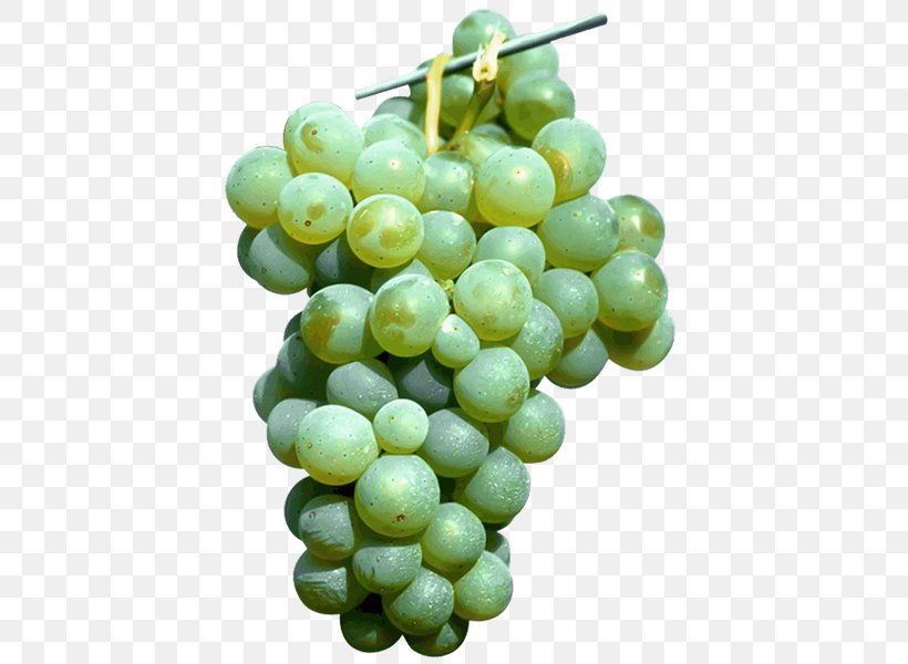 Sultana Common Grape Vine Seedless Fruit Grape Seed Extract, PNG, 433x600px, Sultana, Amazon Grape, Blue, Color, Common Grape Vine Download Free