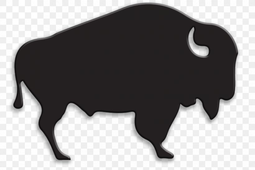 Buffalo Bull, PNG, 1650x1105px, Buffalo, African Buffalo, American Bison, Bison, Bovine Download Free