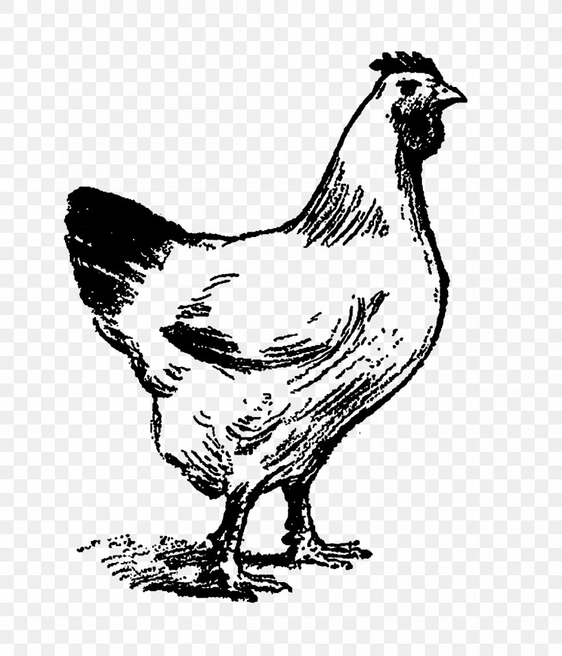 Chicken Rooster Clip Art Illustration Duck, PNG, 1200x1403px, Chicken, Art, Beak, Bird, Black And White Download Free