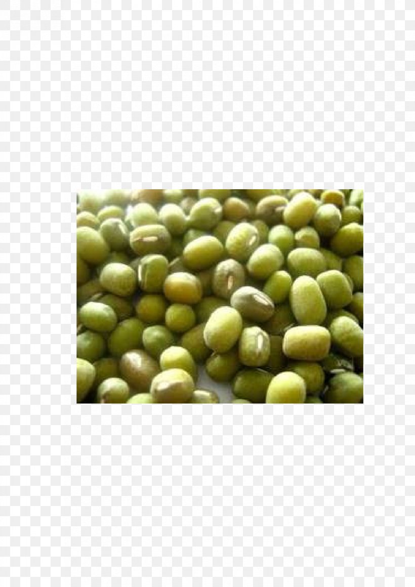 Mung Bean Vegetarian Cuisine Superfood, PNG, 1653x2339px, Mung Bean, Bean, Commodity, Food, Fruit Download Free