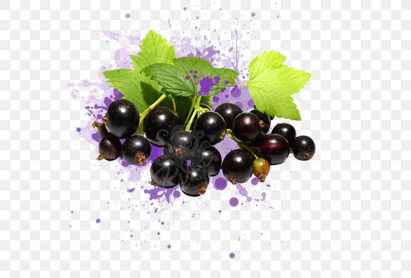 Zante Currant Juice Blackcurrant Redcurrant Berries, PNG, 555x555px, Zante Currant, Berries, Berry, Bilberry, Blackcurrant Download Free