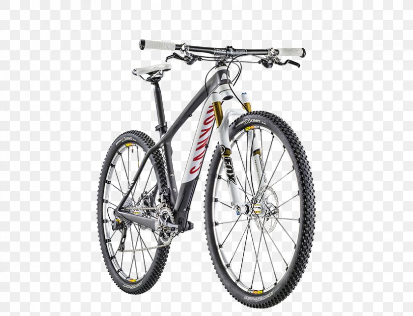 Bicycle Wheels Bicycle Frames Bicycle Forks Bicycle Tires Mountain Bike, PNG, 835x640px, Bicycle Wheels, Automotive Tire, Bicycle, Bicycle Accessory, Bicycle Fork Download Free