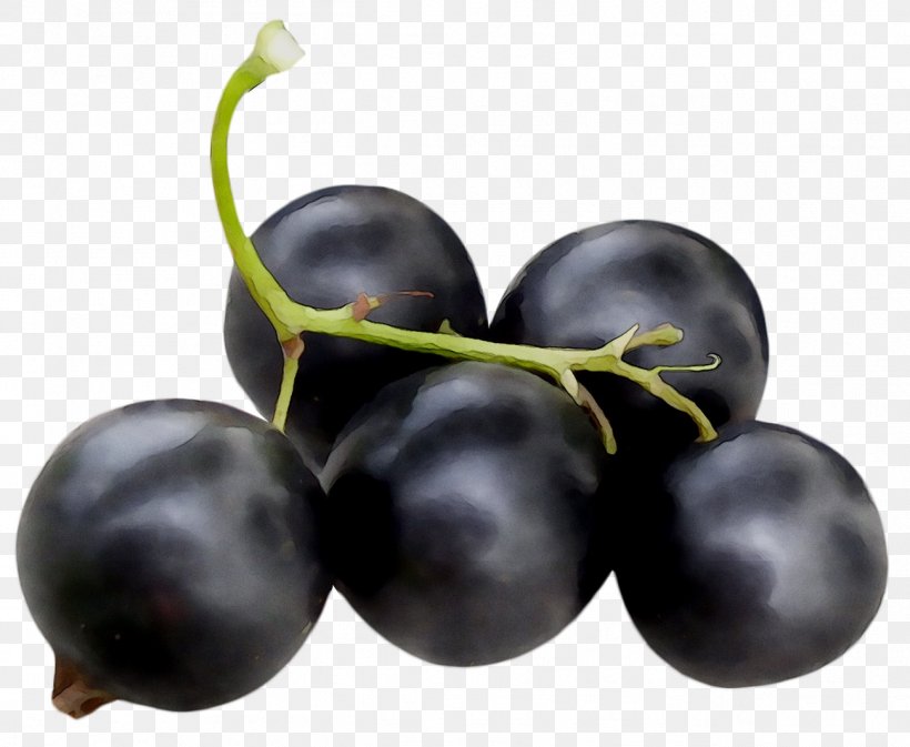 Grape Zante Currant Blueberry Bilberry Huckleberry, PNG, 1297x1065px, Grape, Berry, Bilberry, Blackcurrant, Blueberry Download Free