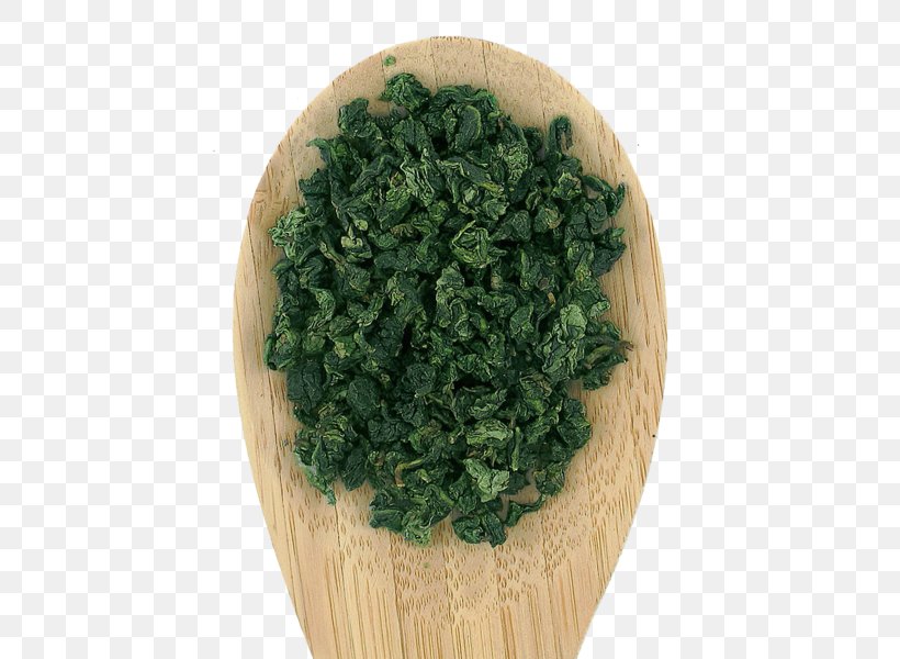 Parsley Tieguanyin Flowerpot Green Laver Spinach, PNG, 493x600px, Parsley, Aonori, Flowerpot, Green Laver, Gyokuro Download Free