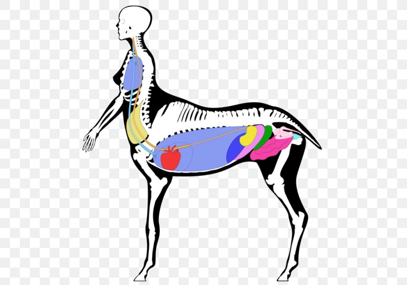 Horse Pack Animal Neck Line Clip Art, PNG, 500x575px, Horse, Artwork, Beak, Horse Like Mammal, Joint Download Free