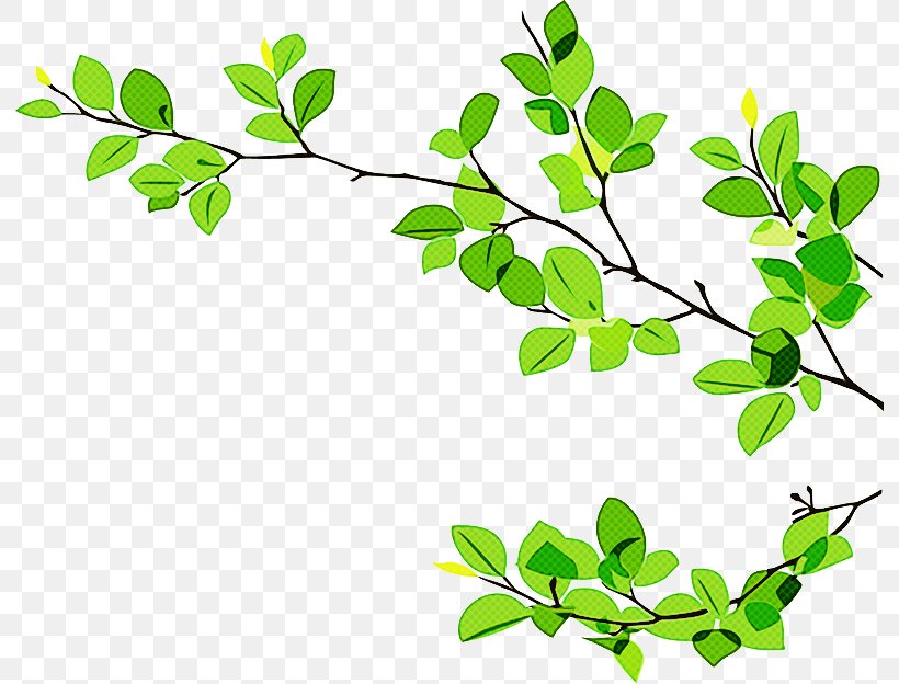 Green Leaf Background, PNG, 792x624px, Twig, Branch, Flower, Green, Gum Trees Download Free