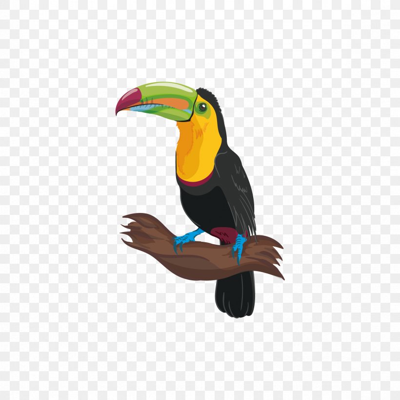 Bird Adobe Illustrator, PNG, 2362x2362px, Bird, Beak, Coreldraw, Fauna, Feather Download Free