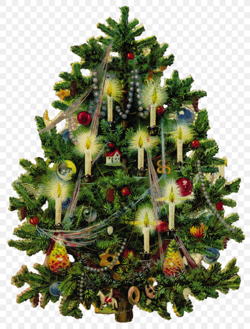 Christmas Tree, PNG, 804x1080px, Christmas Tree, Christmas, Christmas Decoration, Christmas Ornament, Colorado Spruce Download Free