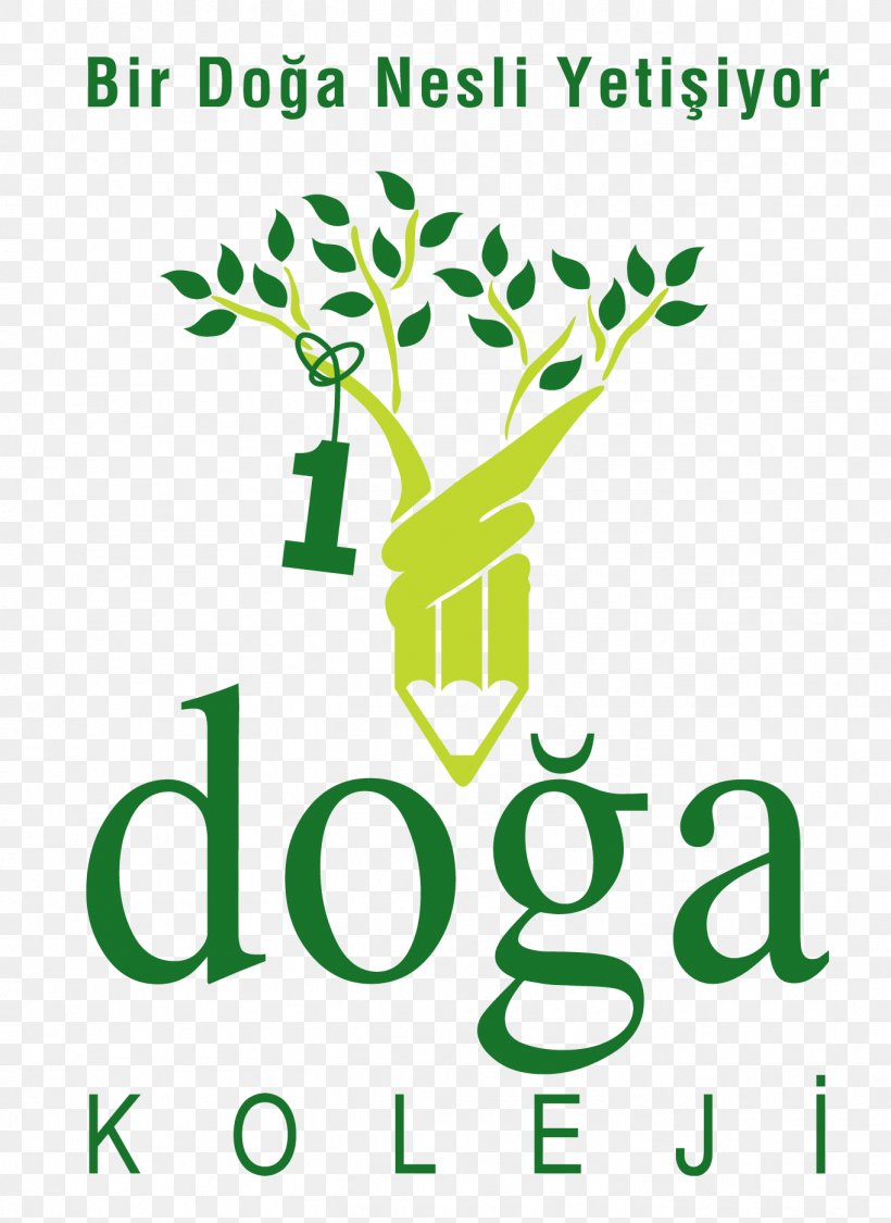 Doğa Schools College Education Creatubbles Pte Ltd, PNG, 1363x1870px, College, Area, Branch, Brand, Education Download Free