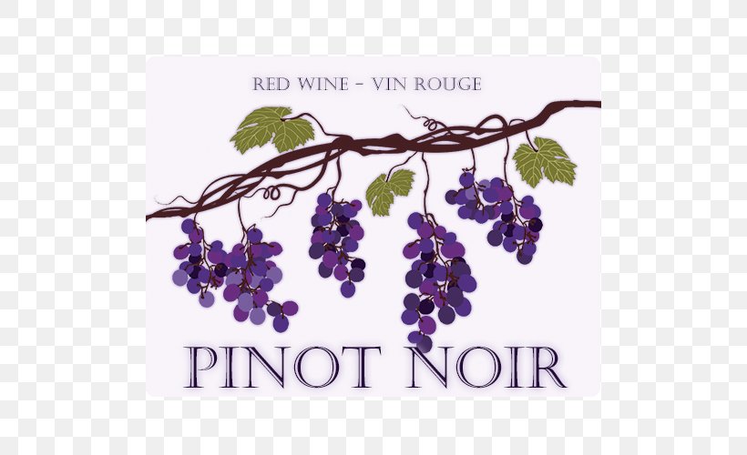 Grape Pinot Noir Wine, PNG, 500x500px, Grape, Art, Branch, Common Grape Vine, Drawing Download Free
