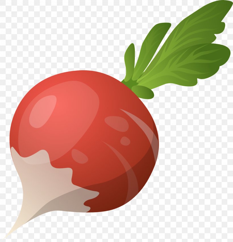 Daikon Vegetable Food Clip Art, PNG, 1560x1619px, Daikon, Apple, Beetroot, Blog, Broccoli Download Free