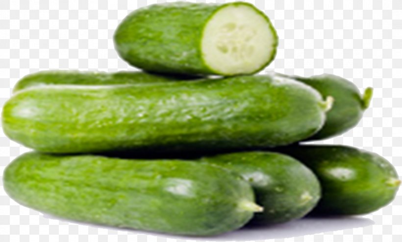 Food Vegetable Cucumber Natural Foods Cucumber, Gourd, And Melon Family, PNG, 1090x658px, Food, Cucumber, Cucumber Gourd And Melon Family, Cucumis, Natural Foods Download Free