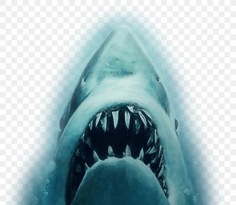 YouTube Shark Jaws Trailer Film, PNG, 1221x1063px, Youtube, Blockbuster, Cartilaginous Fish, Cinema, Film Download Free