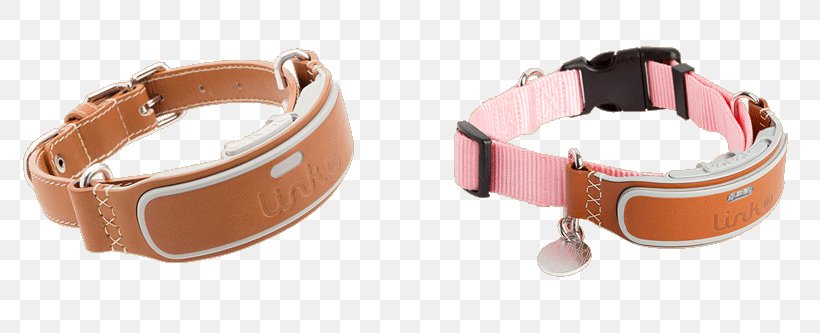 Dog Collar Cat Puppy, PNG, 800x333px, Dog, Activity Tracker, American Kennel Club, Bracelet, Cat Download Free