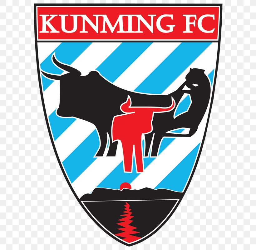 Kunming Ruilong F.C. Academy SC Football Sports, PNG, 612x800px, Kunming, Area, Brand, China, Football Download Free