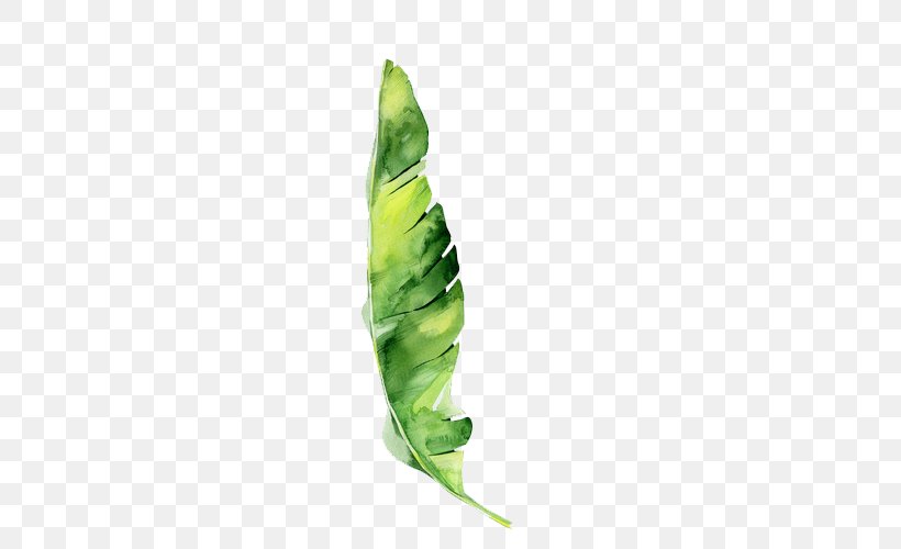 Shared Resource Leaf Flower Vegetable Multiplication, PNG, 500x500px, Shared Resource, Flower, Heavy Metal, Leaf, Learning Download Free