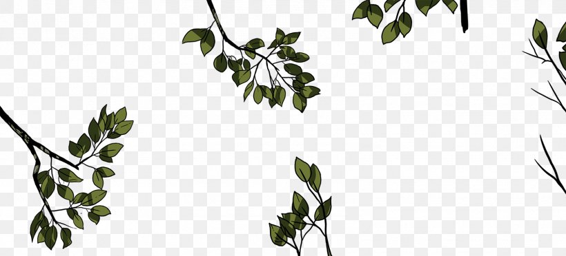 Tree Branches Tiger Plant Stem 0 Leaf, PNG, 1604x729px, 2015, 2016, Tree Branches, Black And White, Branch Download Free