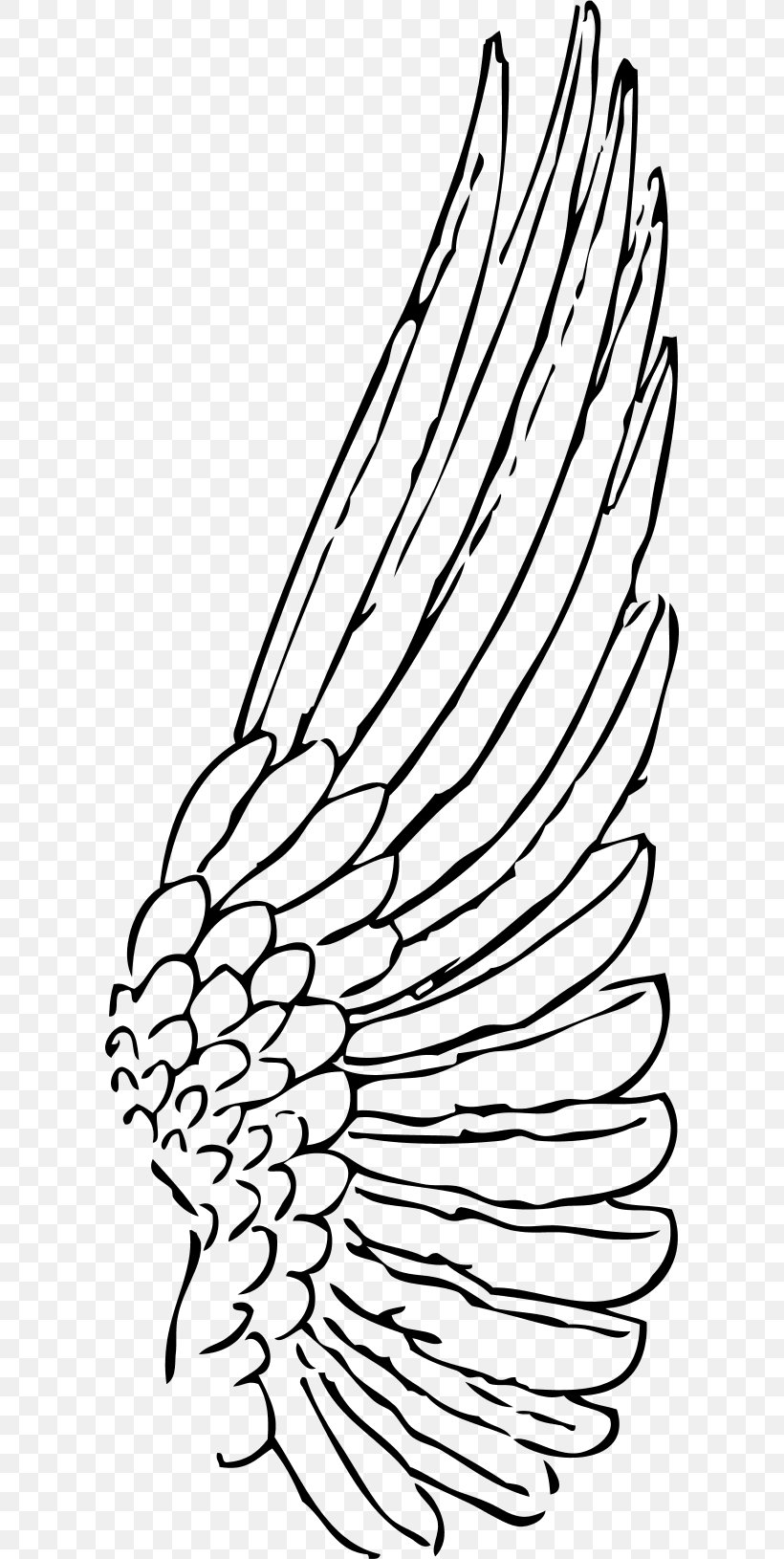 Buffalo Wing Drawing Clip Art, PNG, 600x1630px, Wing, Angel Wing, Art, Beak, Black And White Download Free
