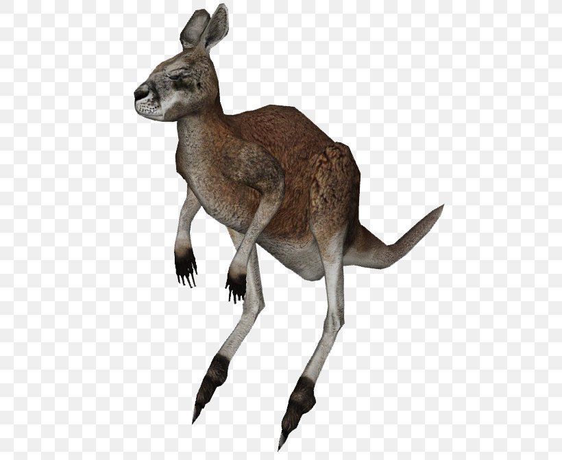 Kangaroo Procoptodon Wallaby Zoo Tycoon 2, PNG, 503x672px, Kangaroo, Animal, Deer, Fauna, Giant Anteater Download Free