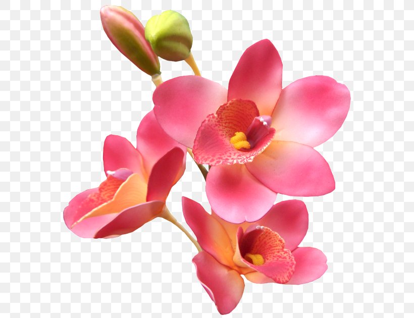 Love Good Romance Giphy, PNG, 588x630px, Love, Animation, Blossom, Cut Flowers, Flower Download Free