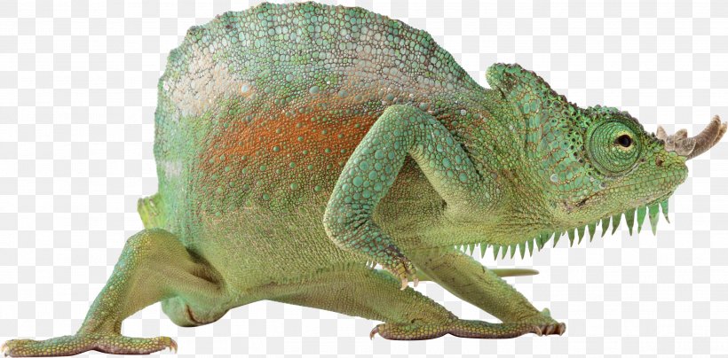 Monitor Lizard Reptile Chameleons Vertebrate, PNG, 2699x1330px, Lizard, Animal, Animal Figure, Bluetailed Skink, Chameleon Download Free