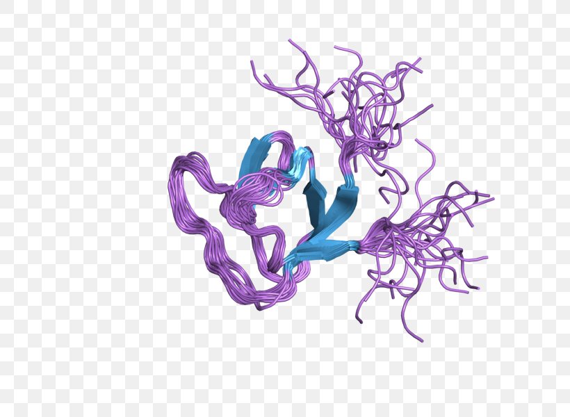 Neutrophil Cytosolic Factor 2 Gene Protein, PNG, 800x600px, Neutrophil Cytosolic Factor 2, Cytosol, Fictional Character, Gene, Homo Sapiens Download Free