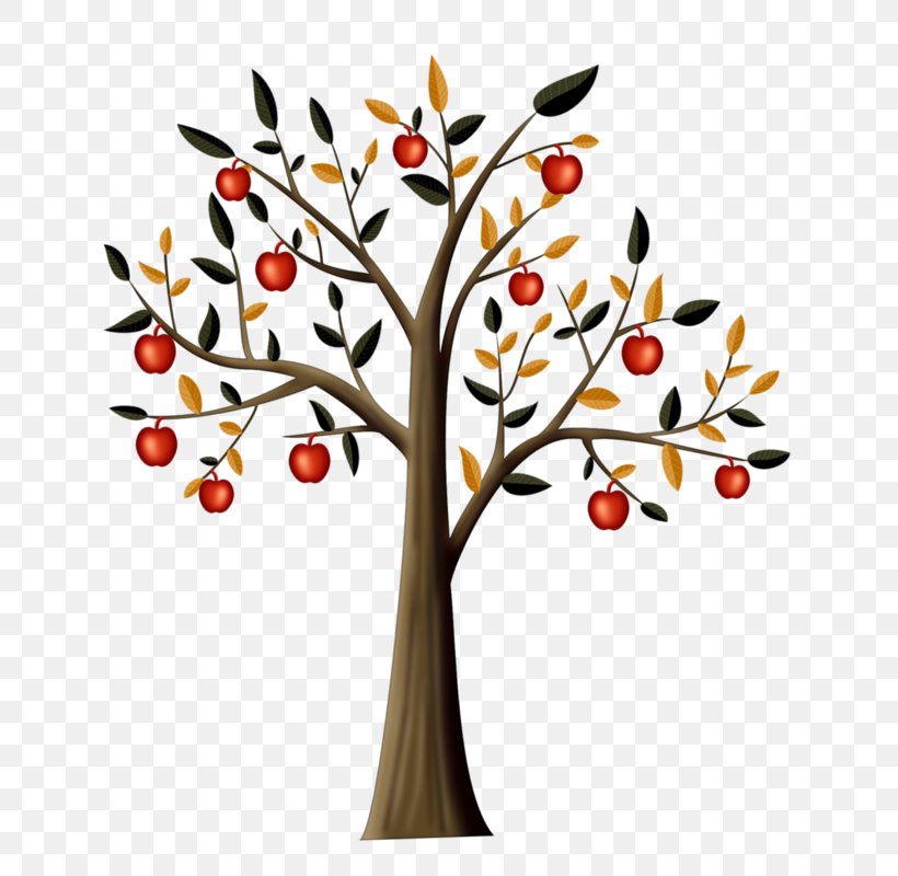 Drawing Tree Apple Clip Art, PNG, 705x800px, Drawing, Apple, Auglis, Branch, Flower Download Free