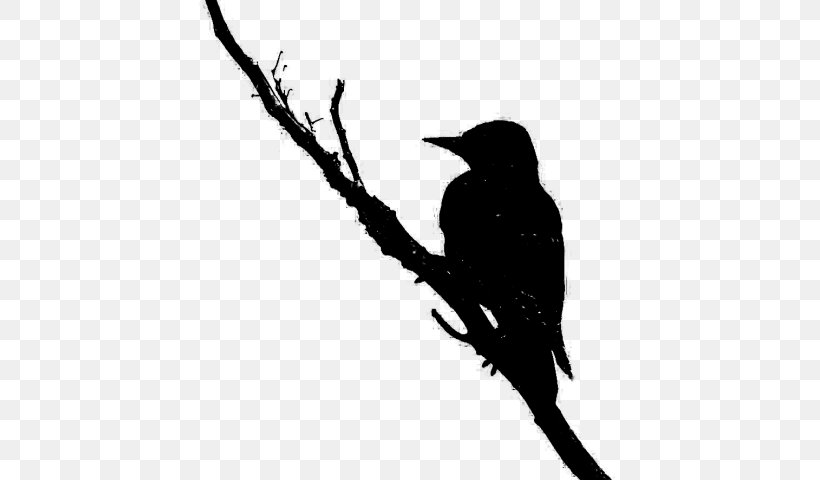 Hummingbird Beak Fauna Font Silhouette, PNG, 640x480px, Hummingbird, Beak, Bird, Blackandwhite, Blackbird Download Free
