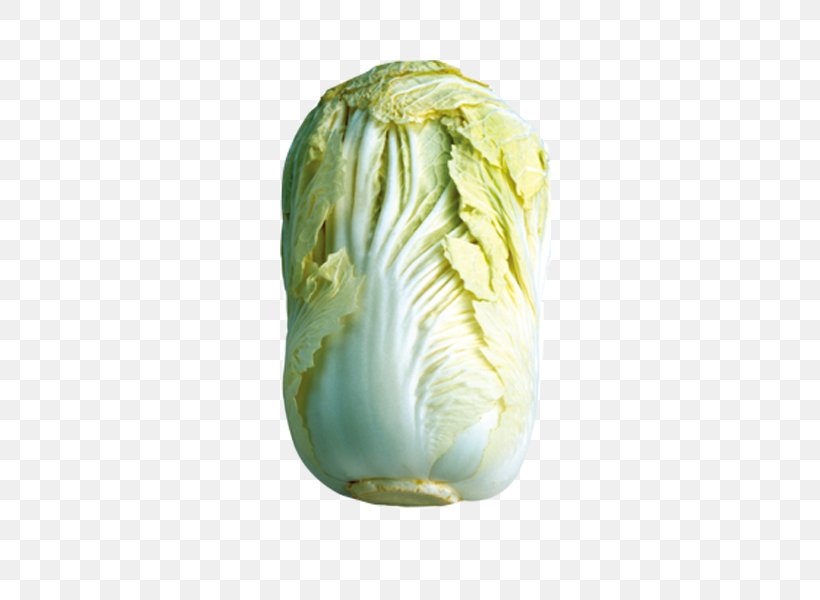 Napa Cabbage Vegetable Chinese Cabbage Food, PNG, 600x600px, Cabbage, Avocado, Brassica, Brassica Oleracea, Chinese Cabbage Download Free