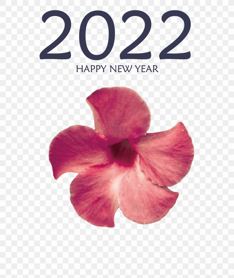 2022 Happy New Year 2022 New Year 2022, PNG, 2531x3000px, Flower, Biology, Meter, Moth Orchids, Orchids Download Free