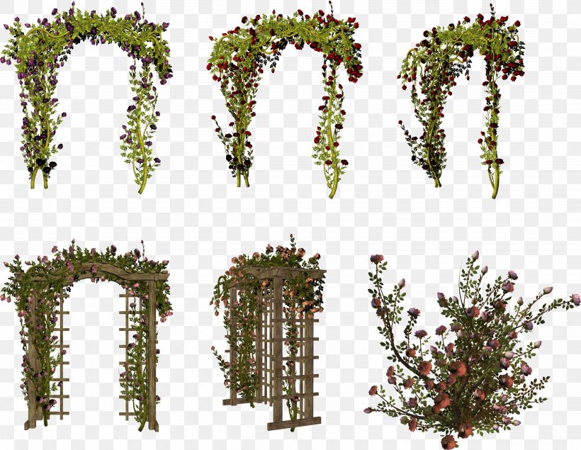 Arch Photography Clip Art, PNG, 3659x2837px, Arch, Biome, Branch, Conifer, Digital Image Download Free
