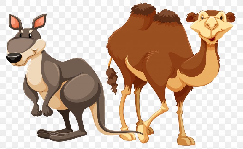 Camel Stock Photography Illustration, PNG, 4988x3075px, Camel, Arabian Camel, Camel Like Mammal, Fauna, Horse Like Mammal Download Free