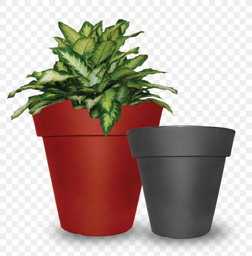 Flowerpot Tusco Products Saucer Houseplant, PNG, 1202x1223px, Flowerpot, Com, Flexibility, Flower, Herb Download Free