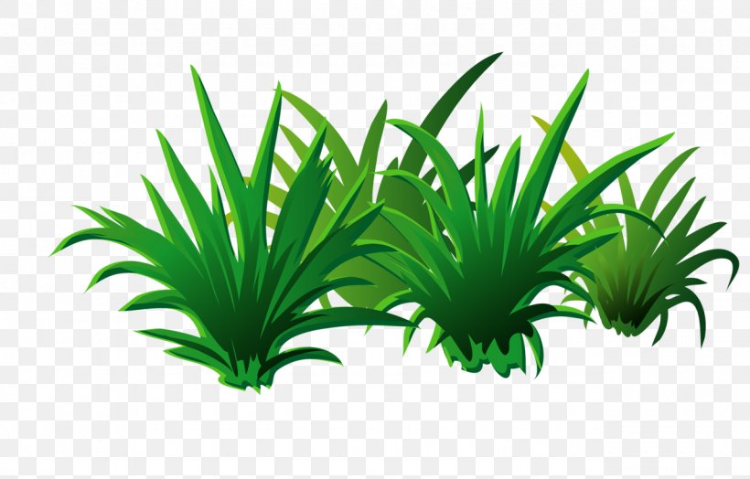 Leaf, PNG, 1280x819px, Leaf, Arecaceae, Arecales, Flowerpot, Grass Download Free