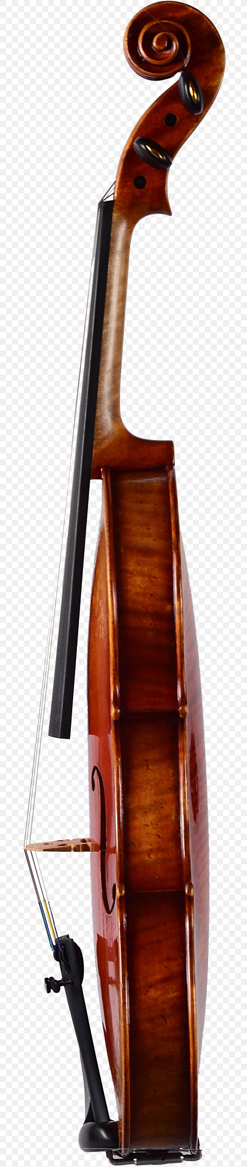 Bass Violin Violone Double Bass Viola Octobass, PNG, 680x3862px, Bass Violin, Bass, Bass Guitar, Bowed String Instrument, Cello Download Free
