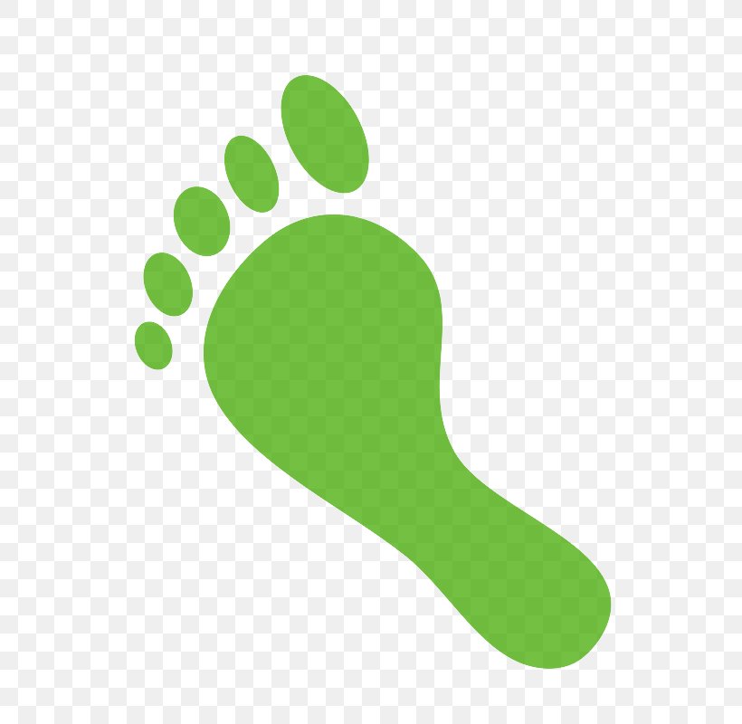 Carbon Footprint Surgery Png 800x800px Foot Carbon Dioxide