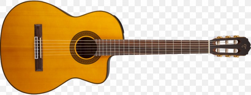 Takamine Guitars Classical Guitar Acoustic-electric Guitar Steel-string Acoustic Guitar, PNG, 960x364px, Watercolor, Cartoon, Flower, Frame, Heart Download Free