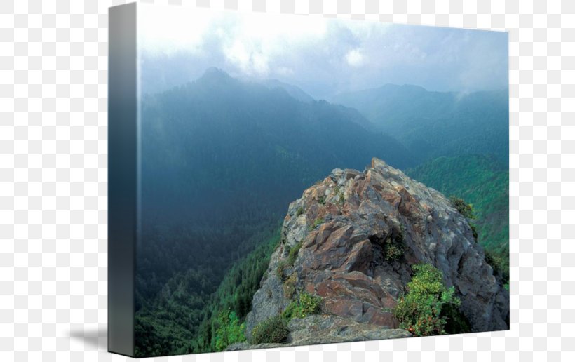 Charlies Bunion Mount Scenery Appalachia National Park Gallery Wrap, PNG, 650x516px, Mount Scenery, Appalachia, Art, Canvas, Escarpment Download Free